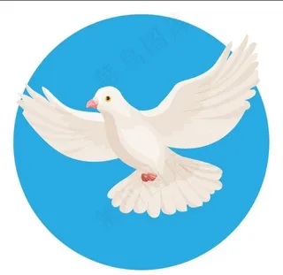 和平鸽鸽子矢量素材图片