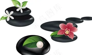 石头 树叶 花朵图片