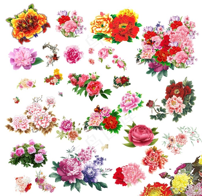 牡丹花图片(10630X10630(DPI:150))psd模版下载