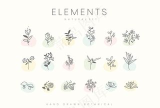 手绘线条花图片