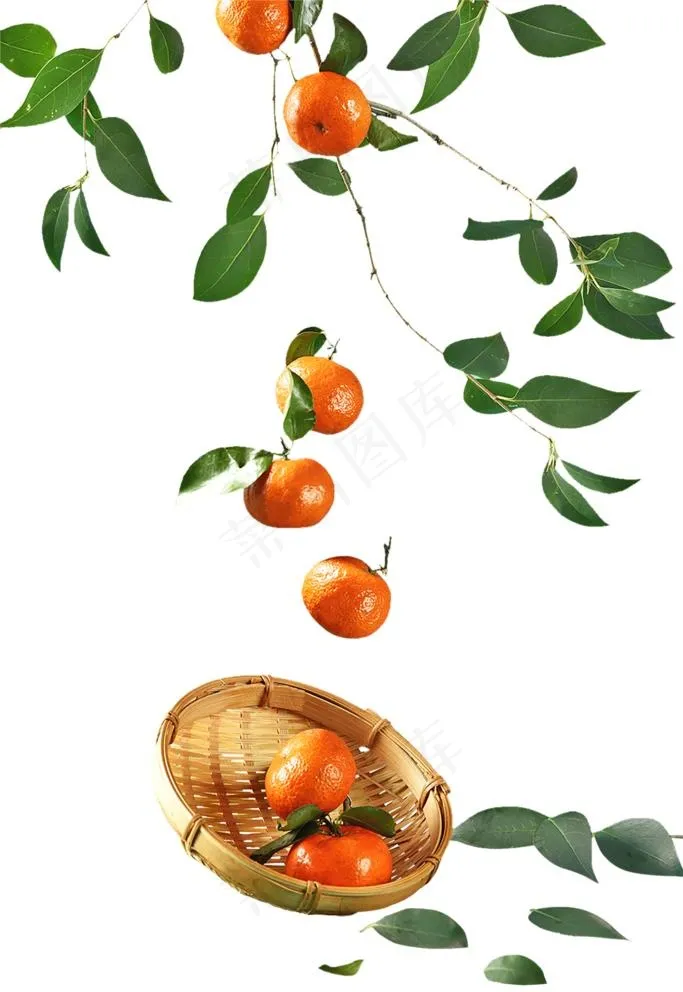 桔子图片(2778X4166(DPI:200))psd模版下载