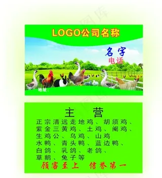 养鸡名片图片