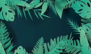 植物 树叶 叶子 热带图片