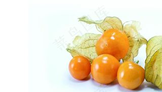 水果  菇娘果图片