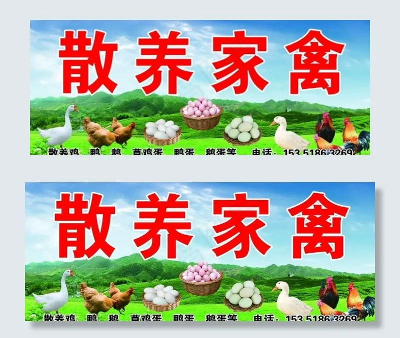 家禽喷绘图片(5512X2362(DPI:50))psd模版下载