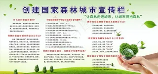 森林城市宣传栏图片