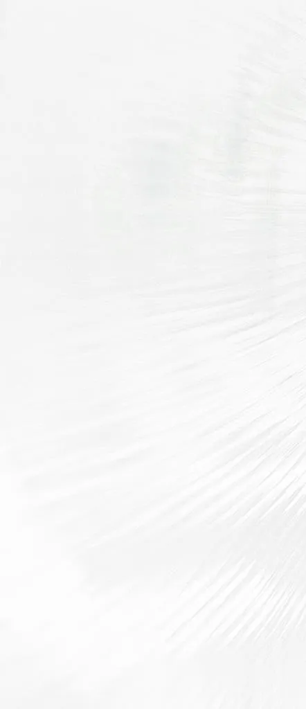 底纹图片