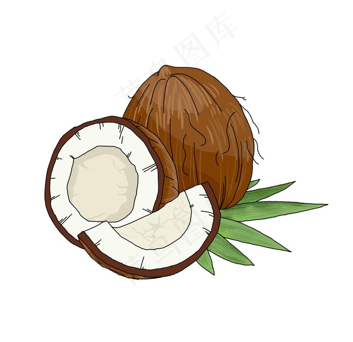 手绘椰子图片psd模版下载