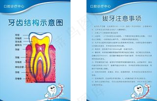 牙科展板图片