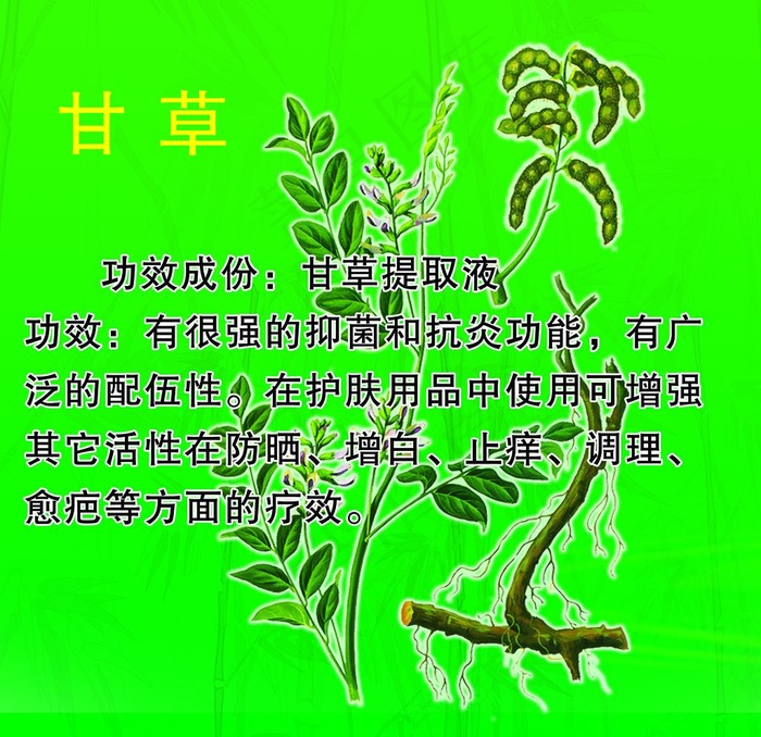 翌芙莱 甘草图片(3543X3543(DPI:300))psd模版下载