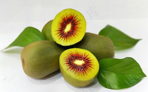 贵州乌蒙山猕猴桃图片