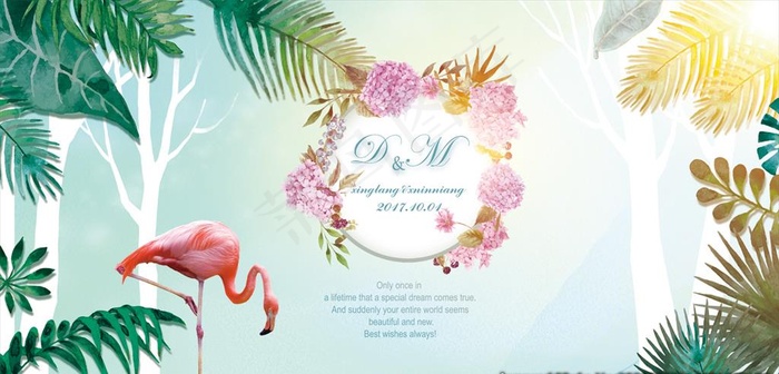 热带植物绿叶图片