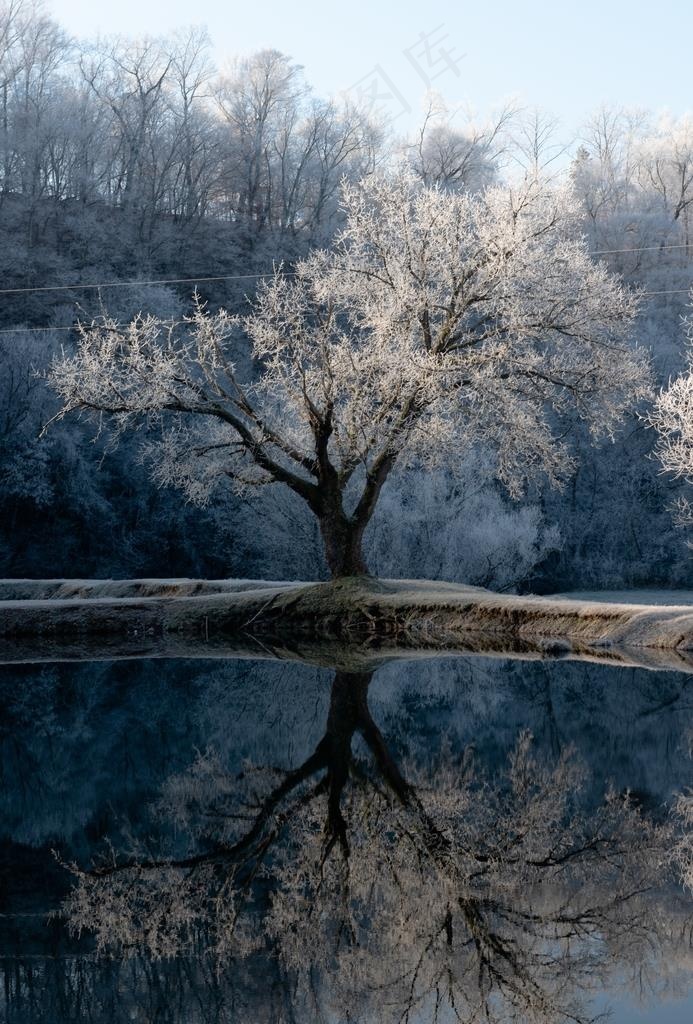 冰天雪地图片