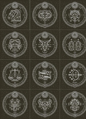 12星座标志设计图片
