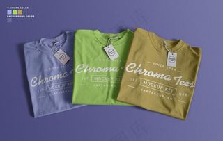 T恤样机图片