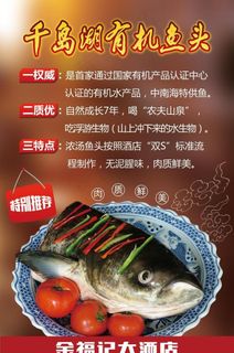 千岛湖鱼头海报图片