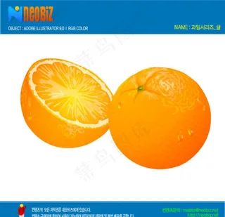 手绘橙子矢量图标设计图片