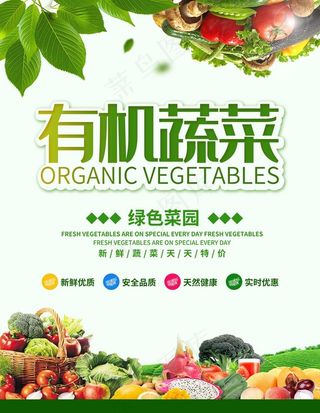 有机蔬菜绿色菜园图片