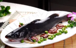 野菌煮江团图片
