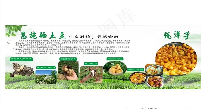 硒土豆 土豆海报图片cdr矢量模版下载