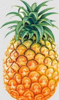 菠萝图片