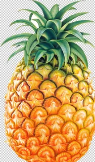 菠萝图片