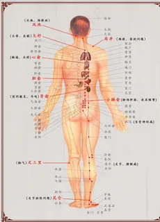 人体穴位对应病症图片 人体穴位对应病症图片