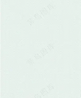 证件底纹图片 证件底纹图片