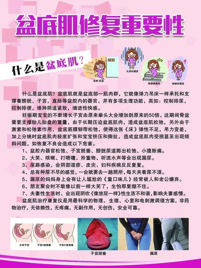 盆底肌图片(3150X4331(DPI:100))psd模版下载