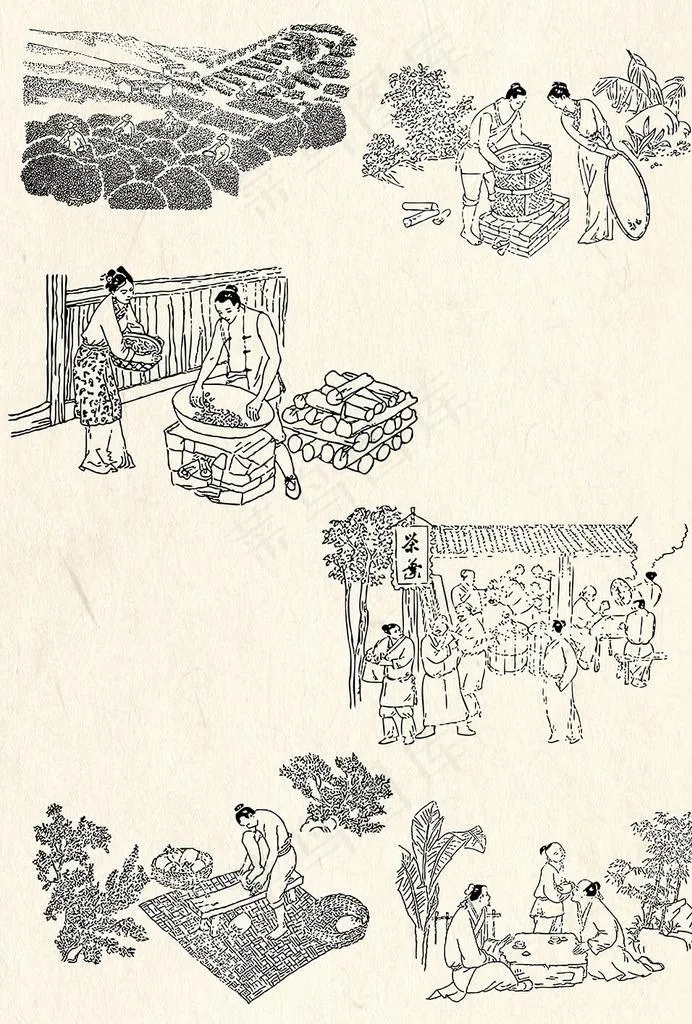 古代制茶工艺线描矢量素材图片ai矢量模版下载