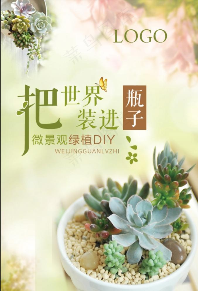 多肉植物海报图片(1535X2323(DPI:50))psd模版下载