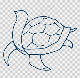 手绘海洋生物图片 手绘海洋生物图片