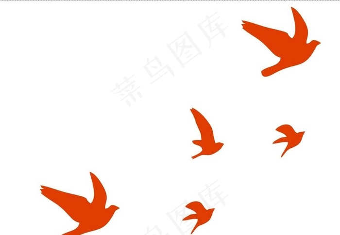 鸟图片