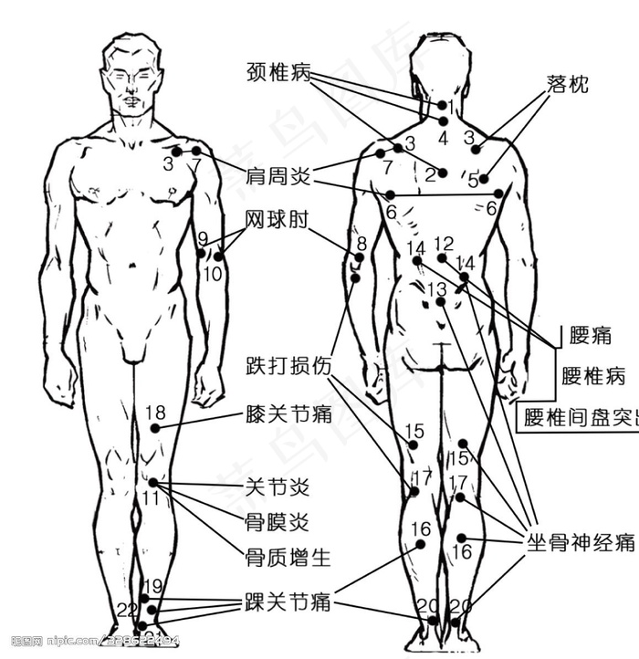 人体穴位图图片psd模版下载