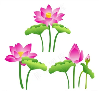 矢量荷花剪影图片