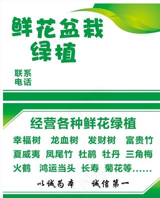绿植名片图片