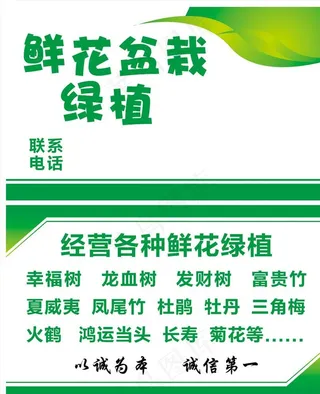 绿植名片图片