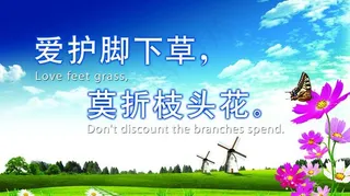 爱护花草标牌图片