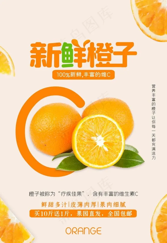 橙子图片(3543X5315(DPI:300))psd模版下载
