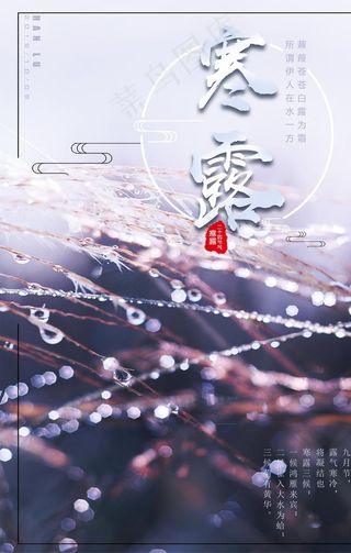 寒露节气图片