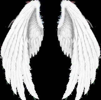 天使翅膀图片 天使翅膀图片