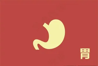 矢量胃图标图片