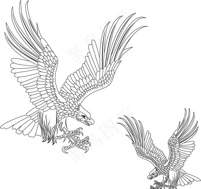大鹏展翅图片ai矢量模版下载