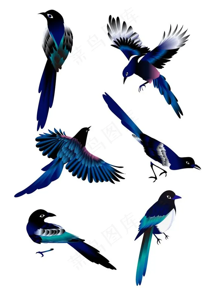 鹊图片ai矢量模版下载