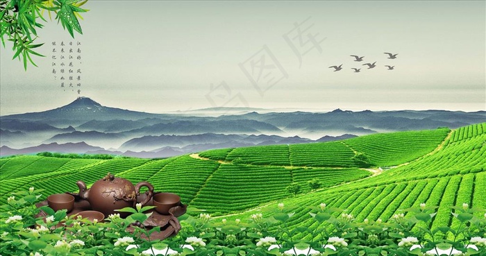 茶山图片