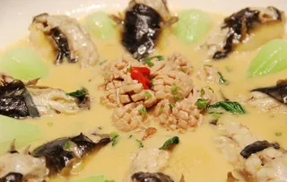 本帮菜 浓汤鲃鱼炖羊宝图片