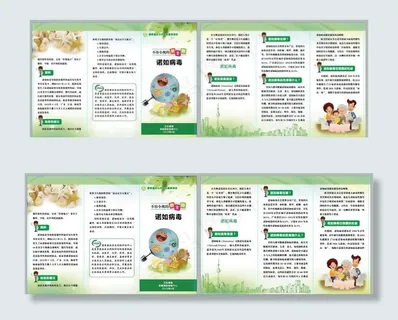 诺如病毒折页图片