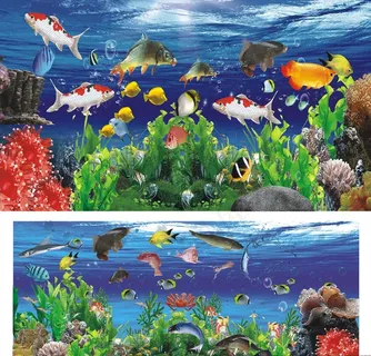 海洋世界图片 海洋世界图片