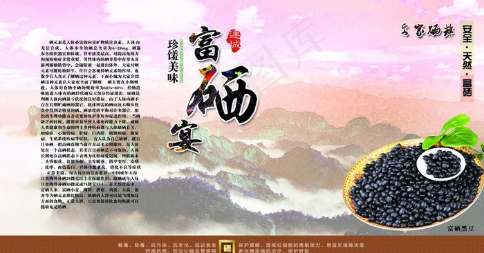 黑豆图片(7087X3937(DPI:100))psd模版下载