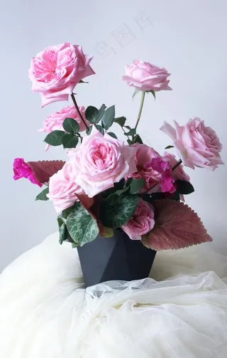 花艺插花花卉图片